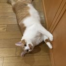 ちーちゃん（訪問介護管理者）